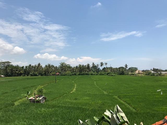 Heavenly View Villa Ubud  Luaran gambar